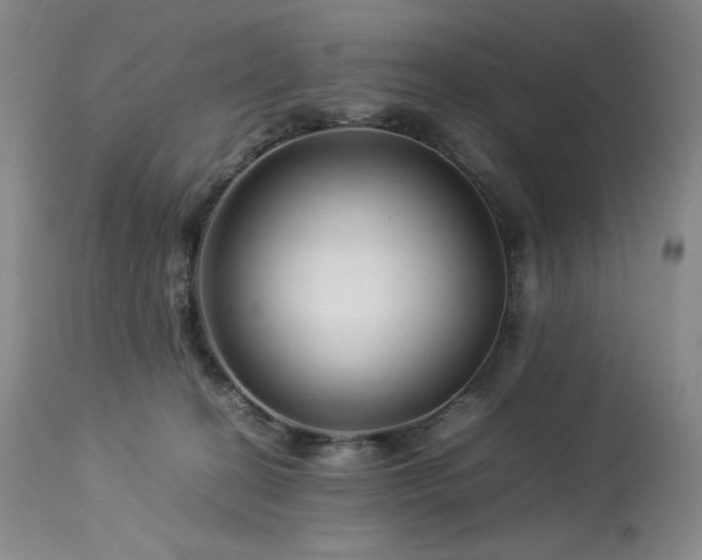 X0000113990274200910021230