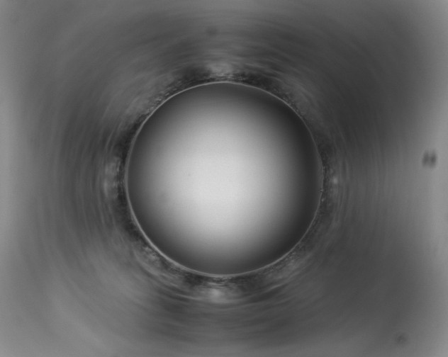 X0000113990275200910021230