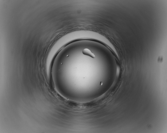 X0000113990276200910021230