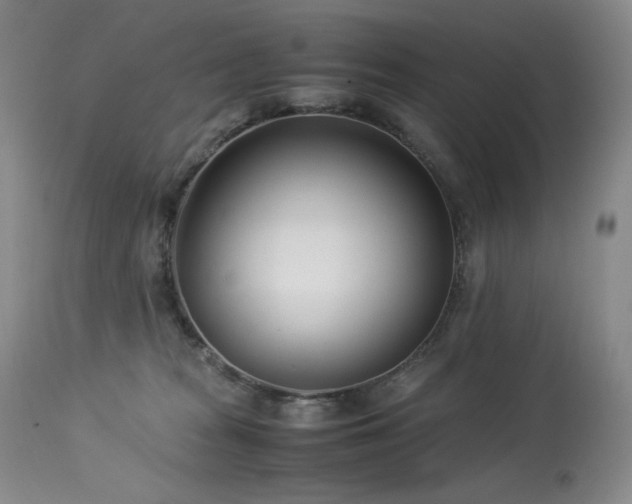 X0000113990277200910021230