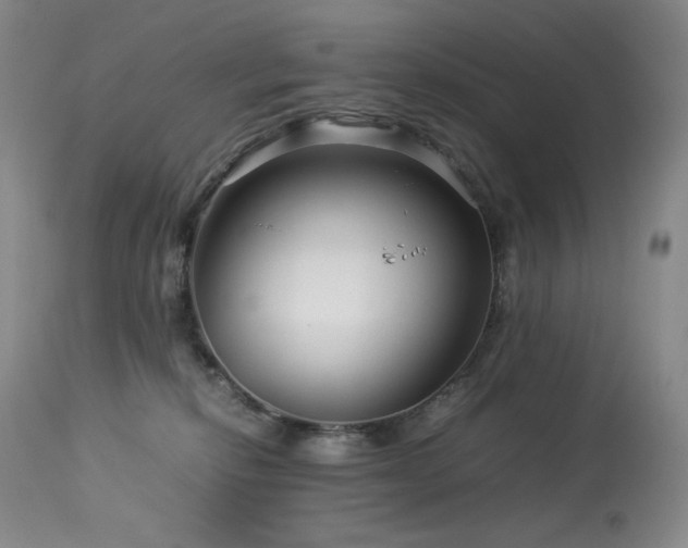 X0000113990278200910021230