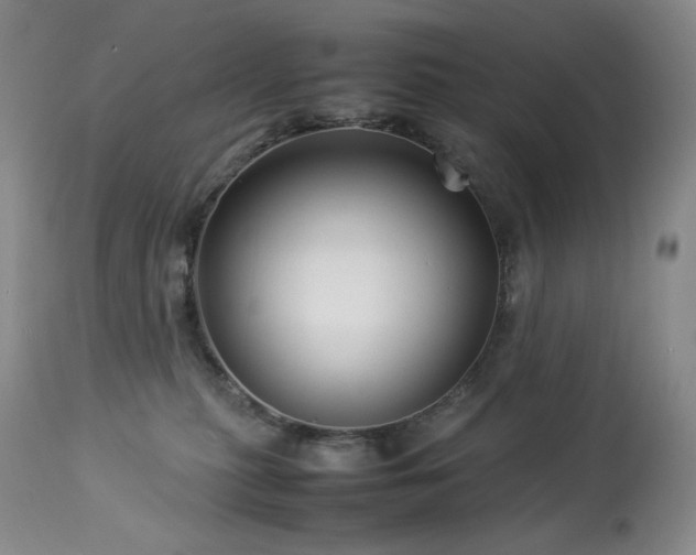 X0000113990279200910021230