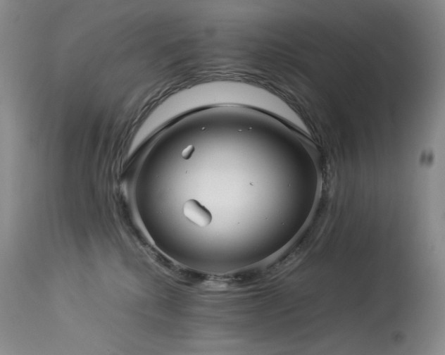 X0000113990280200910021230