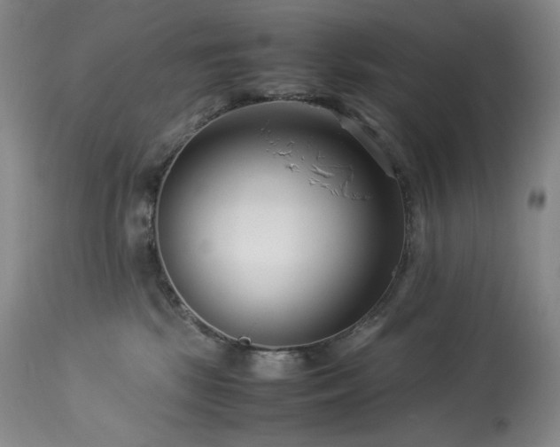 X0000113990281200910021230