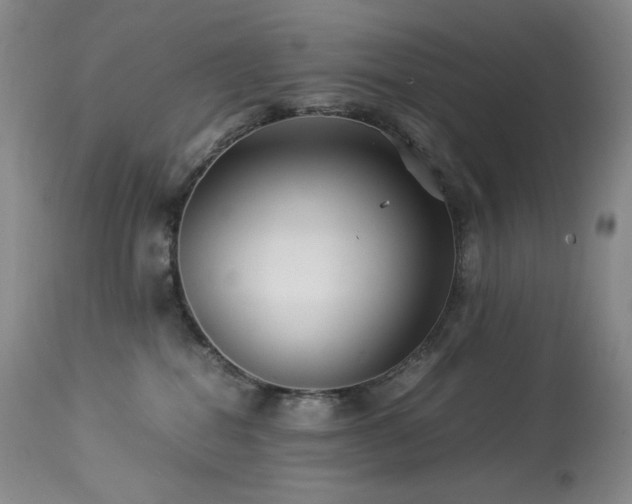 X0000113990282200910021231