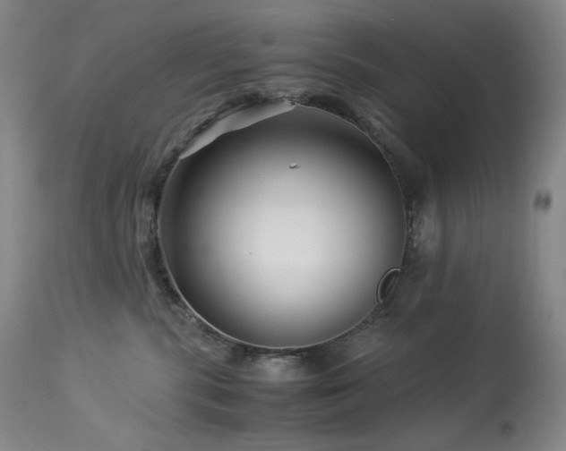 X0000113990283200910021231