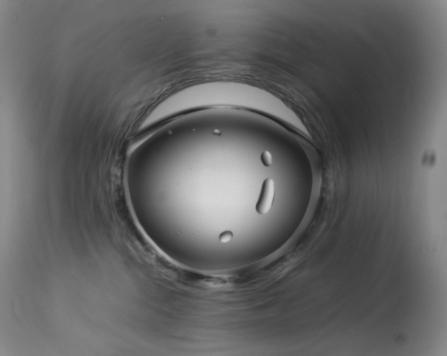 X0000113990284200910021231