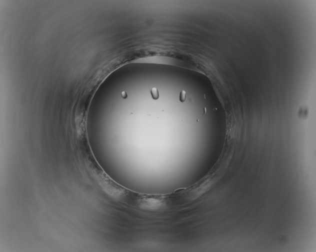 X0000113990285200910021231