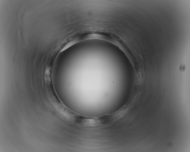 X0000113990286200910021231