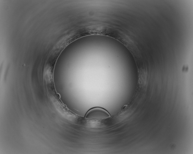 X0000113990287200910021231