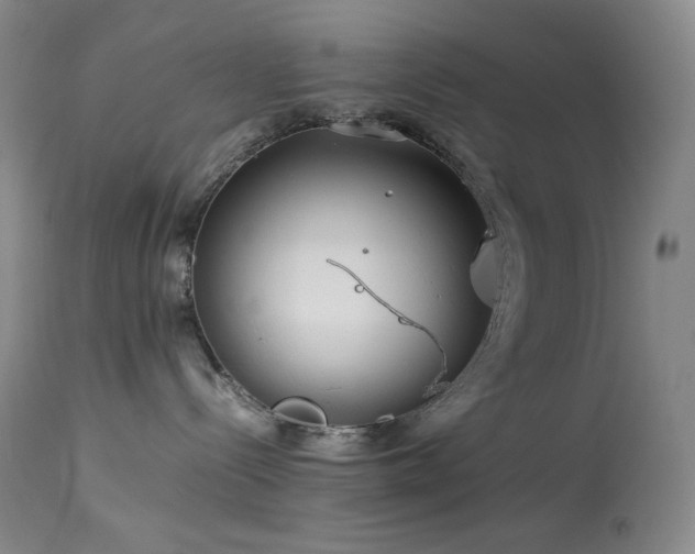 X0000113990288200910021231