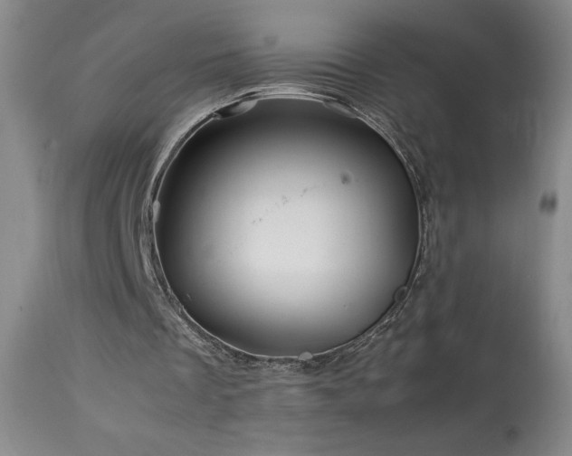 X0000113990289200910021230