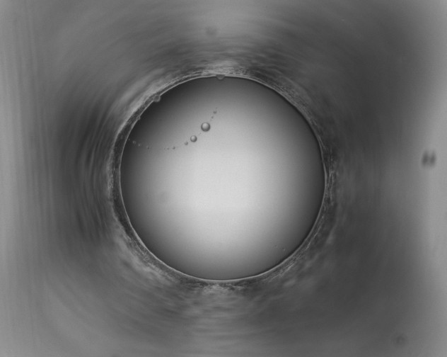 X0000113990290200910021230