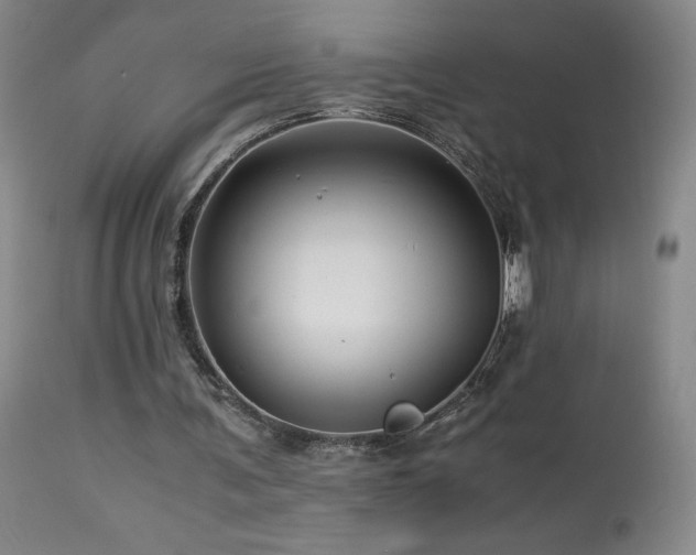 X0000113990291200910021230