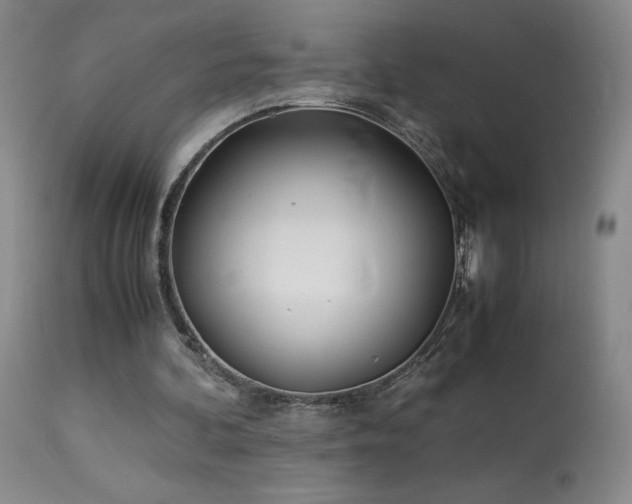 X0000113990292200910021230