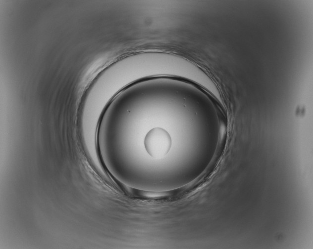 X0000113990293200910021230