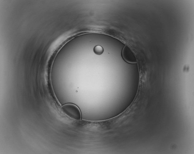 X0000113990294200910021230