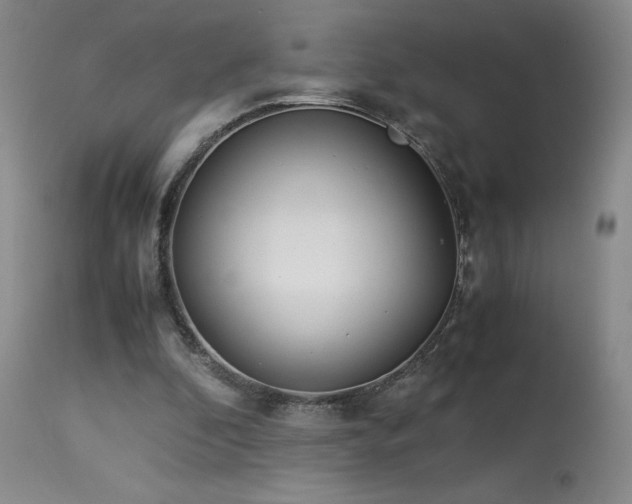 X0000113990296200910021230