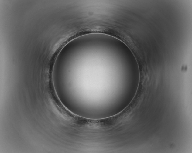 X0000113990299200910021230