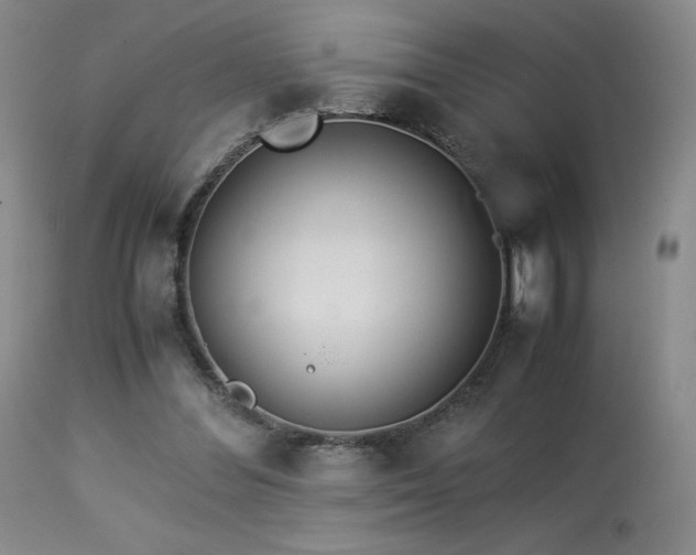 X0000113990300200910021230