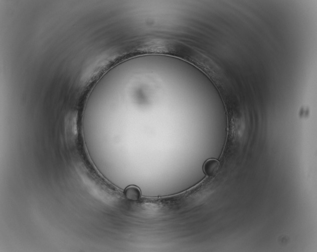 X0000113990302200910021230