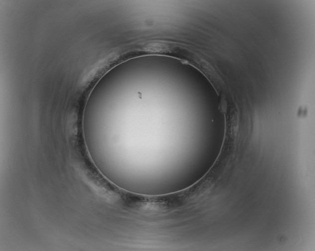 X0000113990303200910021230