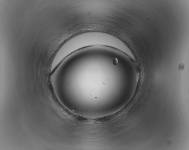 X0000113990305200910021230