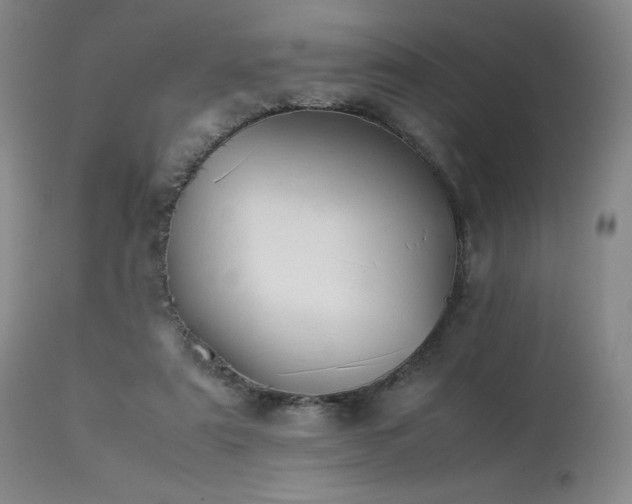 X0000113990307200910021230