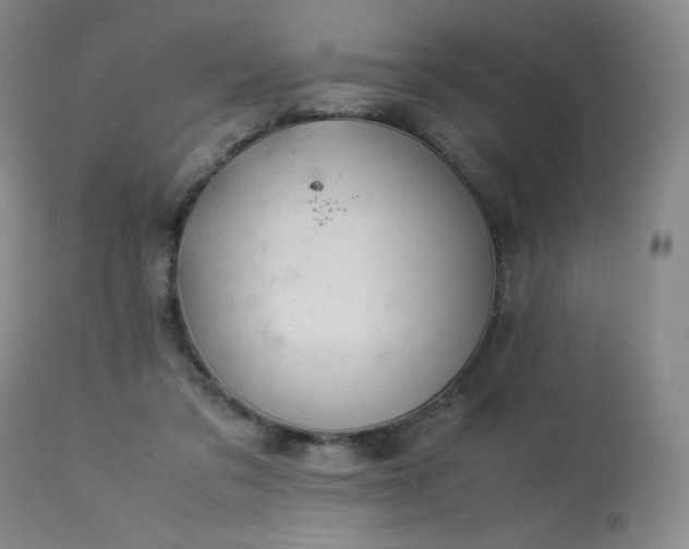 X0000113990309200910021229