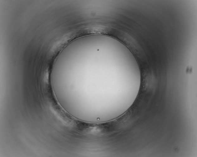 X0000113990310200910021229