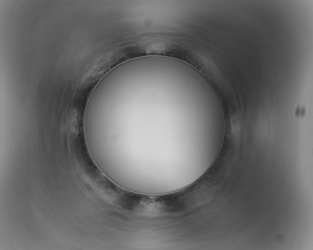 X0000113990311200910021229