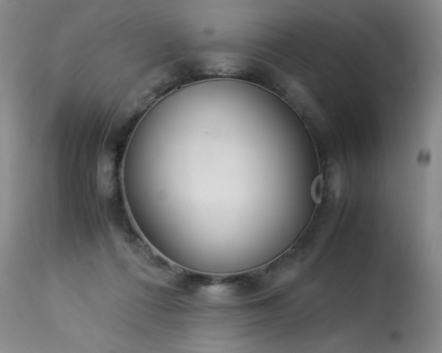 X0000113990312200910021229