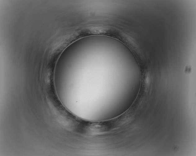 X0000113990315200910021229