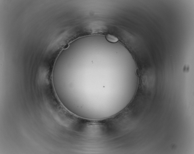 X0000113990316200910021229