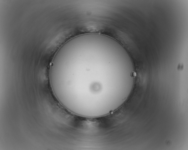 X0000113990317200910021229