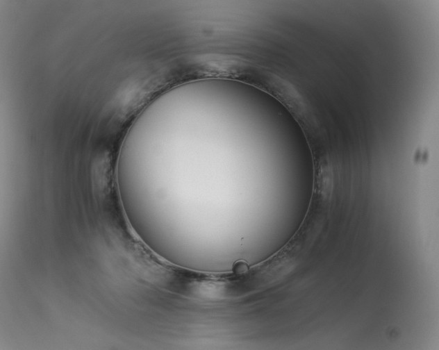 X0000113990318200910021229