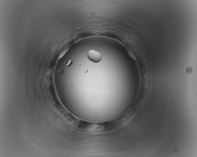 X0000113990319200910021229