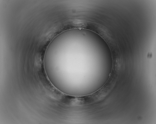 X0000113990320200910021229