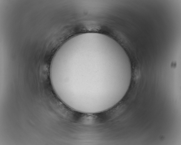 X0000113990321200910021229