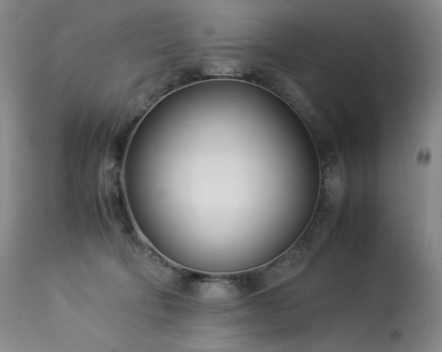 X0000113990322200910021229