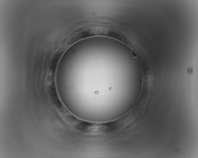 X0000113990323200910021229