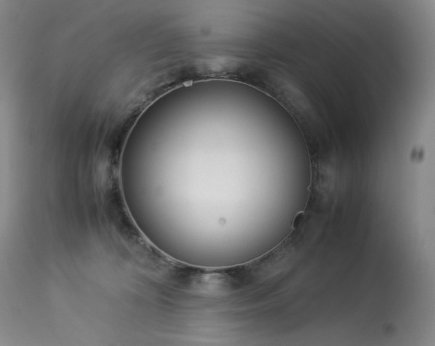 X0000113990324200910021229