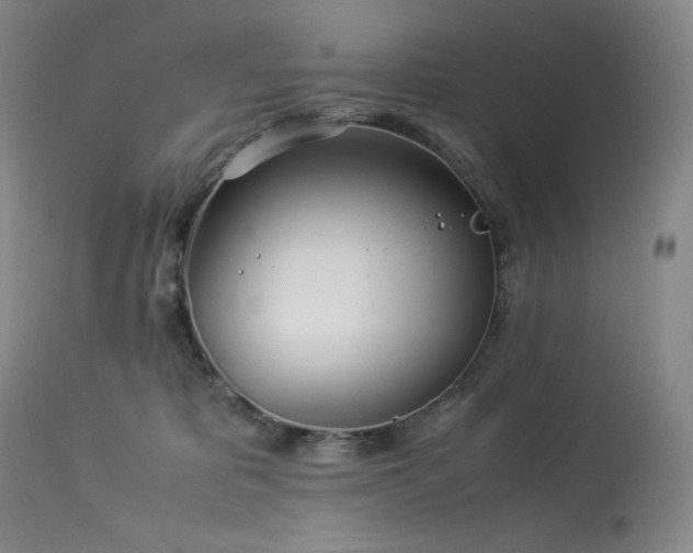 X0000113990325200910021229