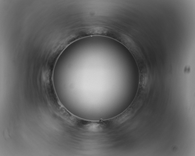 X0000113990326200910021229