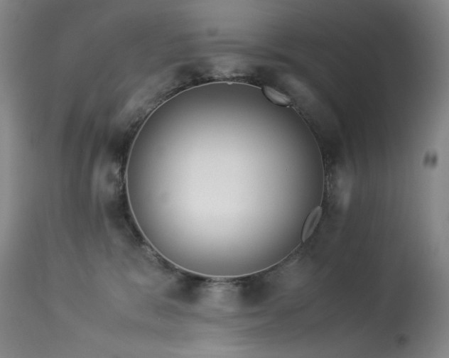 X0000113990327200910021229