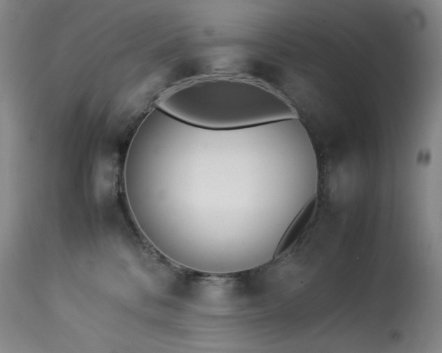 X0000113990328200910021229