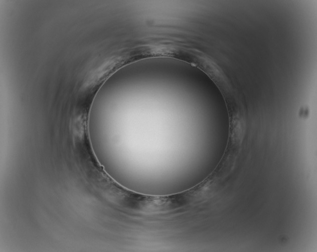 X0000113990329200910021229