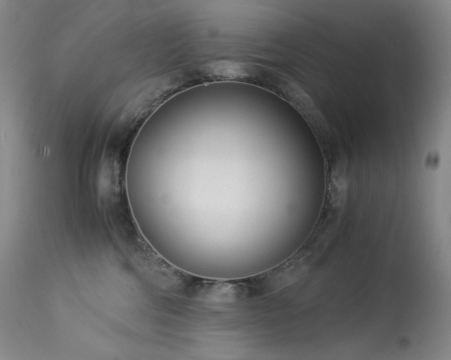 X0000113990330200910021229