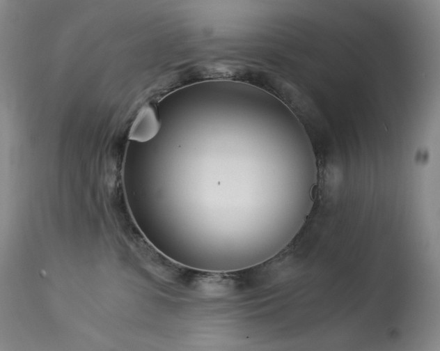 X0000113990331200910021229