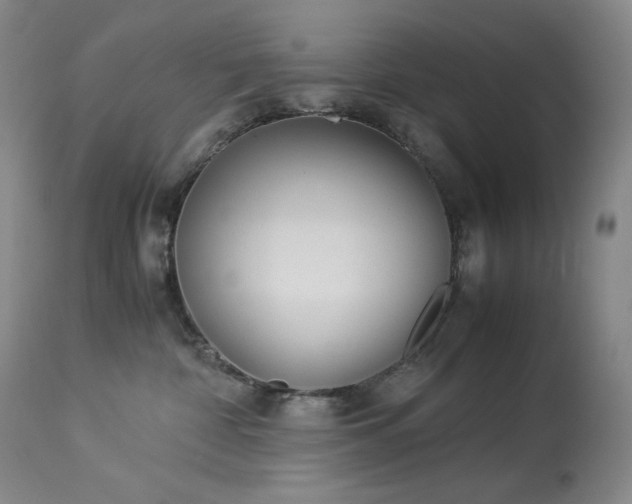 X0000113990332200910021229